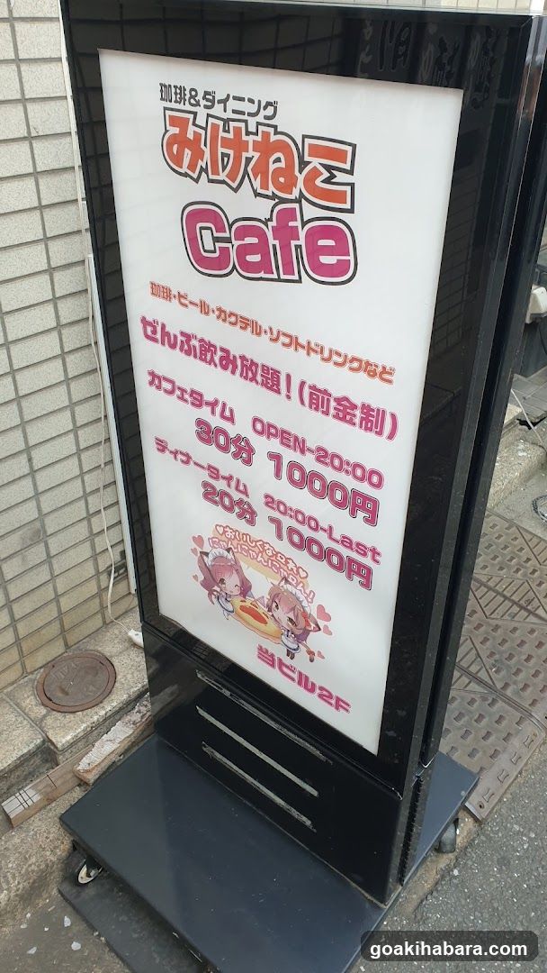 HoneyHoney Akihabara