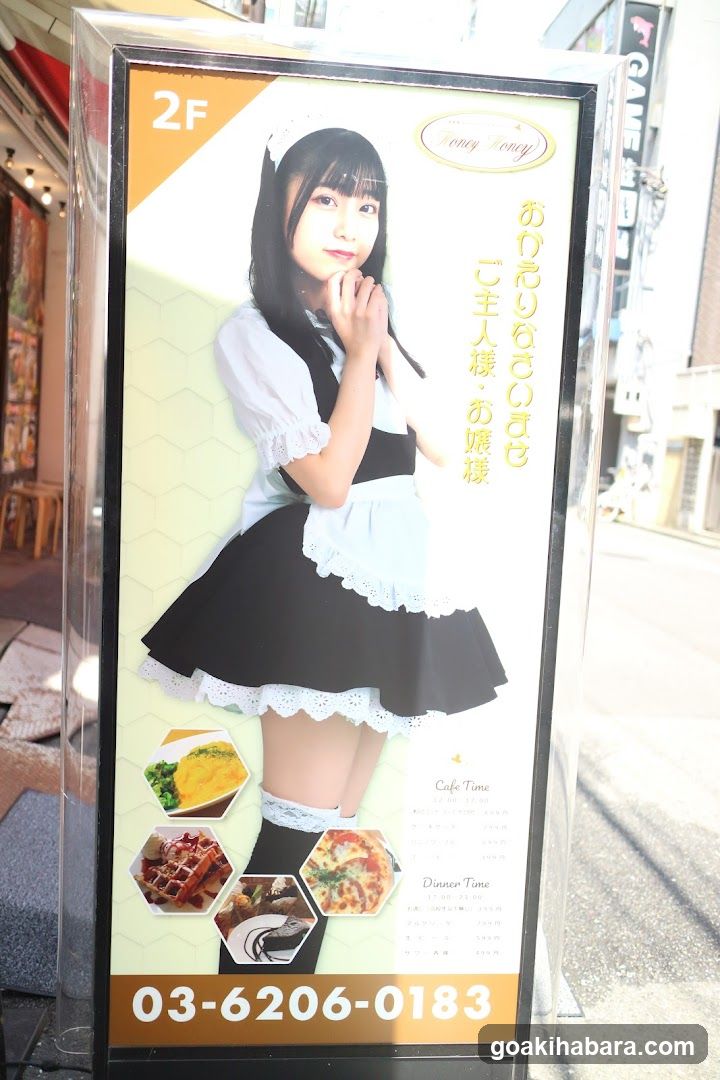 HoneyHoney Akihabara