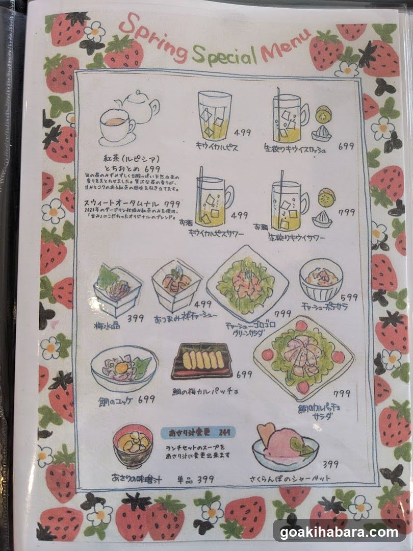 HoneyHoney Akihabara