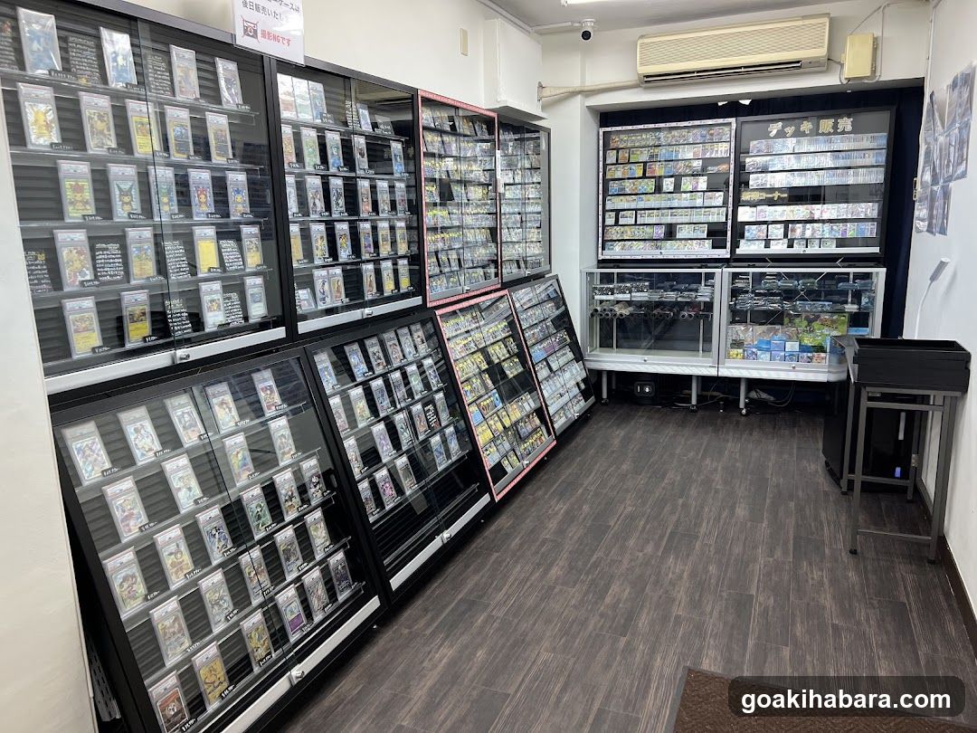 Torecaru Akihabara Station Store