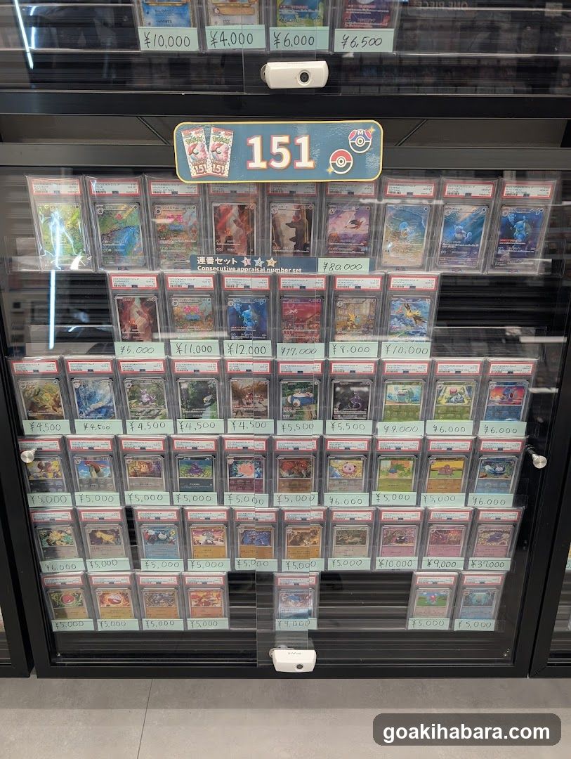 Torecaru Akihabara Station Store