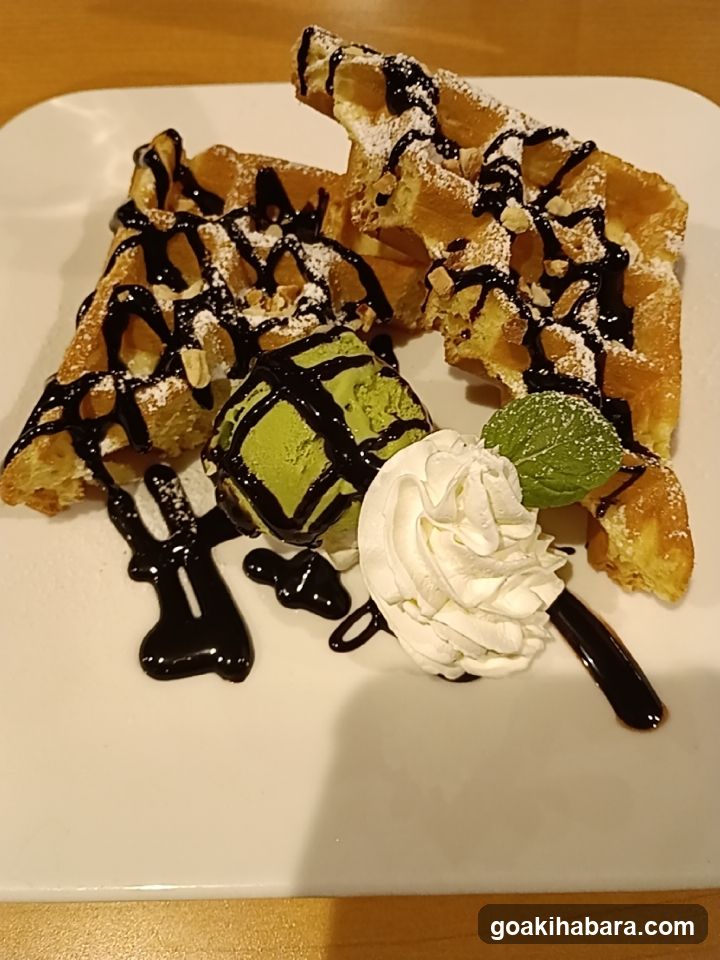 HoneyHoney Akihabara