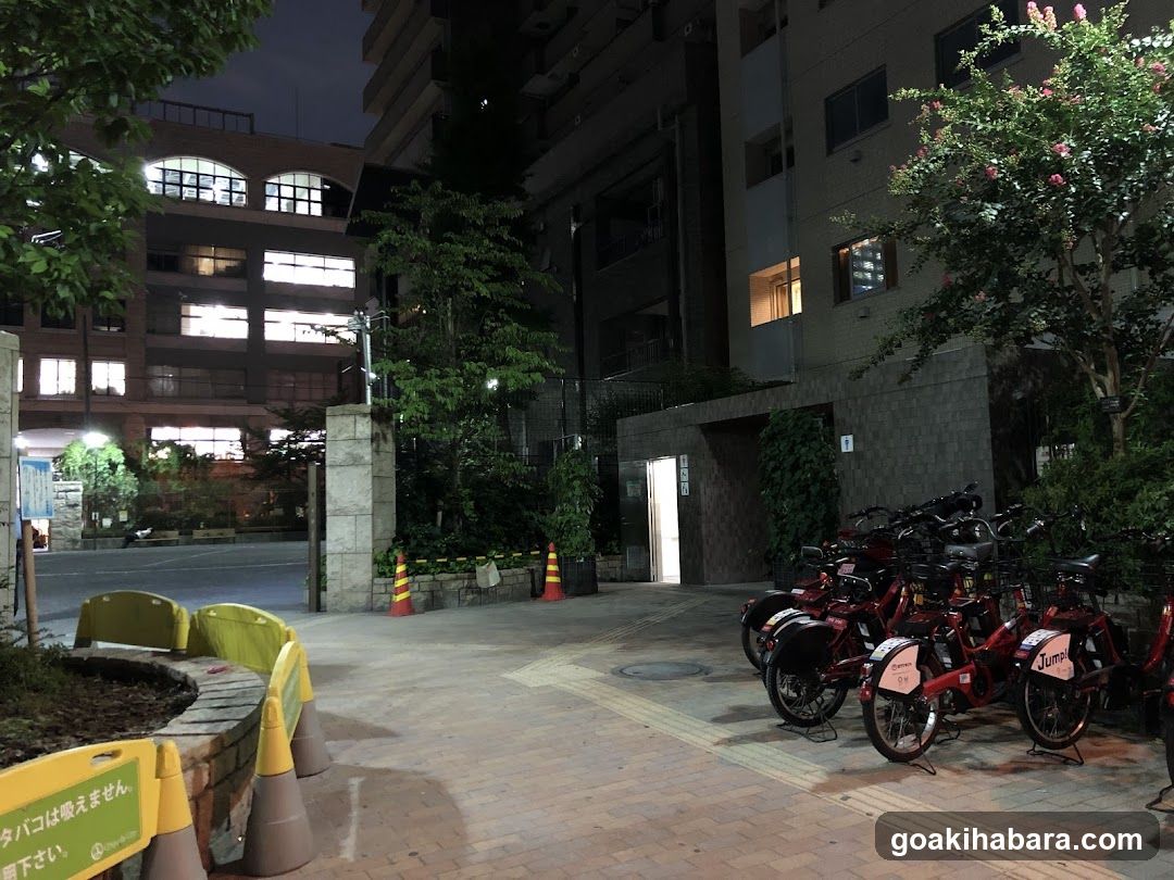 Docomo Bike Share