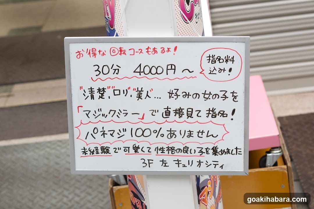 Curiosity Akihabara