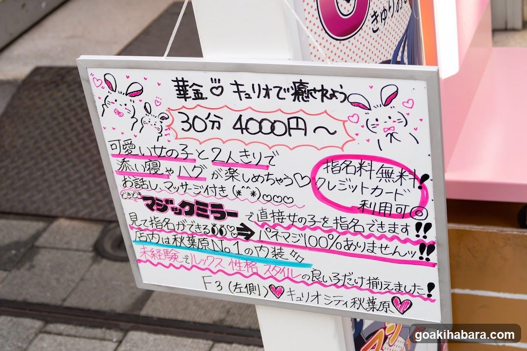 Curiosity Akihabara