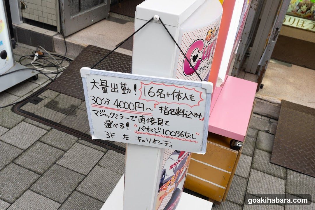Curiosity Akihabara