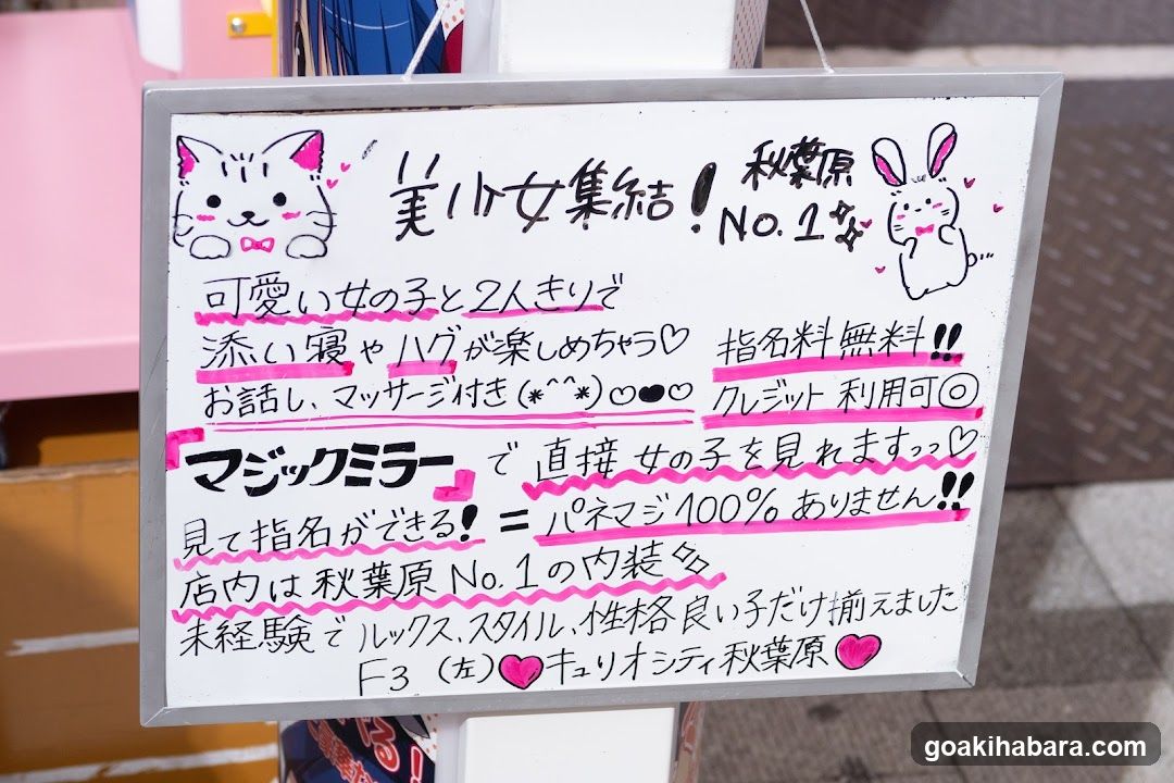 Curiosity Akihabara