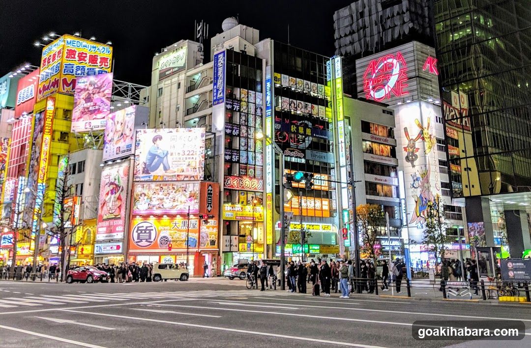 Curiosity Akihabara