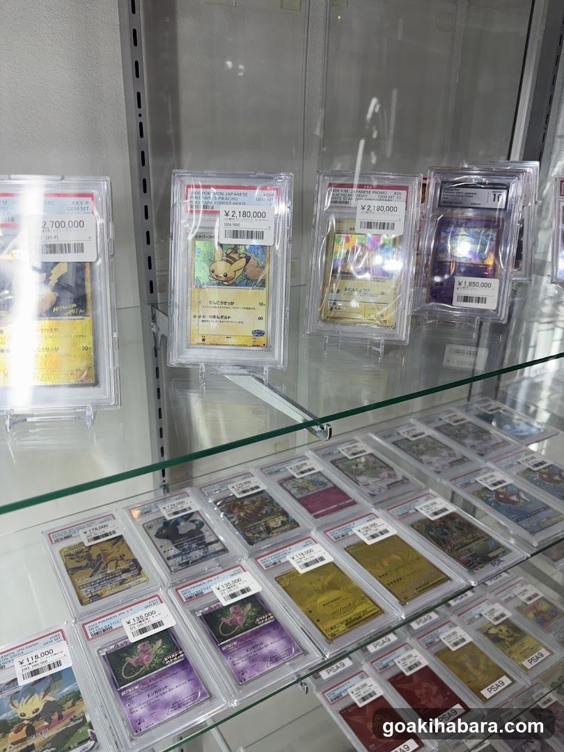 シンソク秋葉原本店