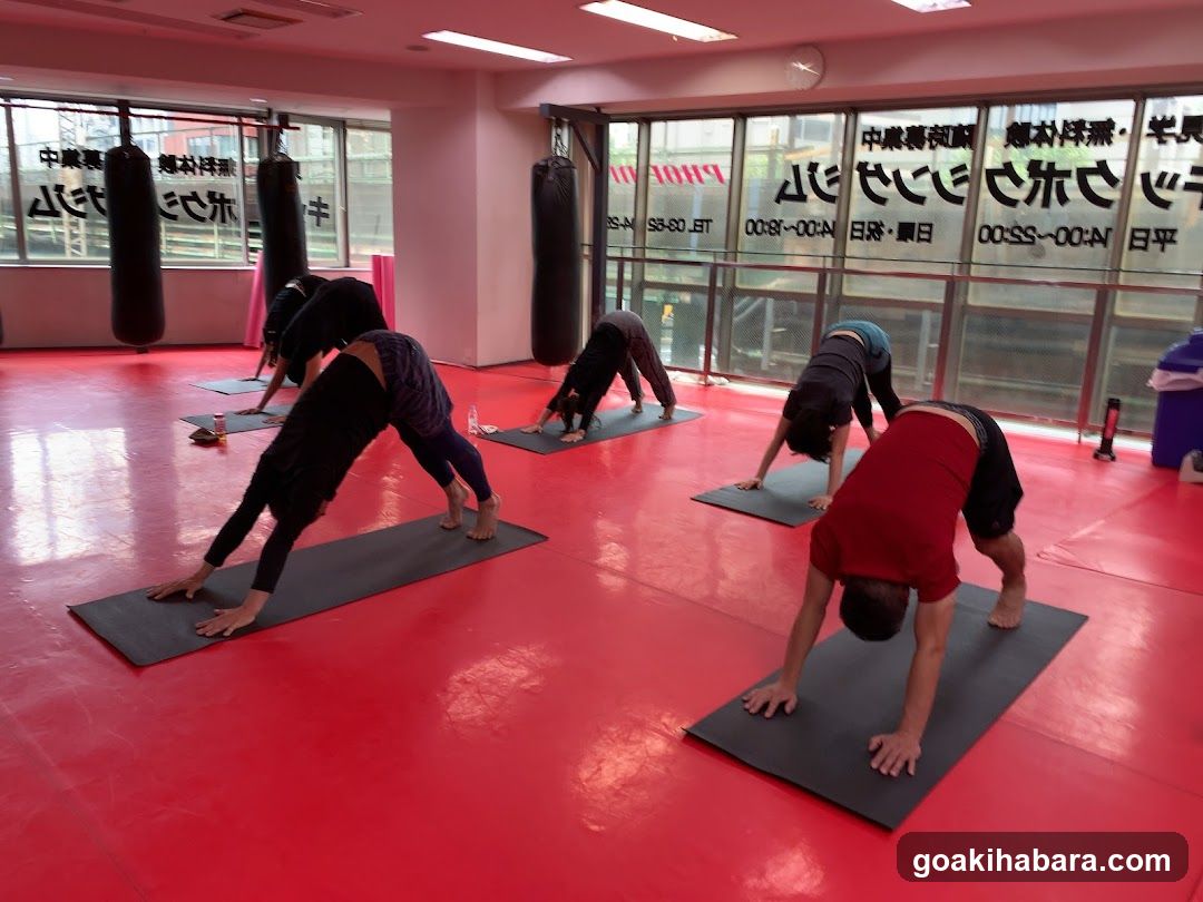 PHOENIX Studio Kickboxing Gym