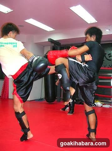 PHOENIX Studio Kickboxing Gym