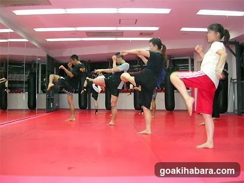 PHOENIX Studio Kickboxing Gym