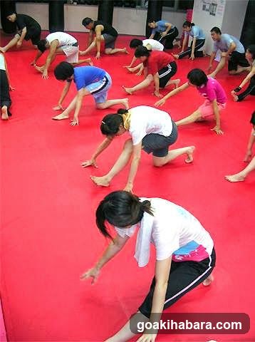 PHOENIX Studio Kickboxing Gym