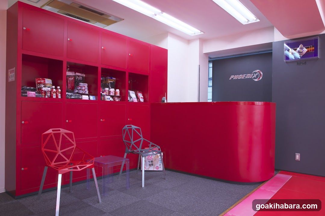 PHOENIX Studio Kickboxing Gym