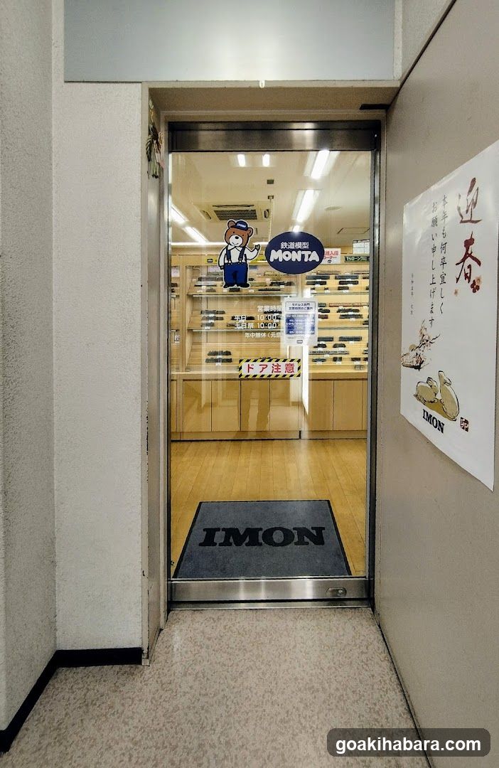 Models IMON Akihabara
