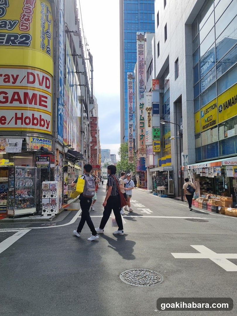 Models IMON Akihabara