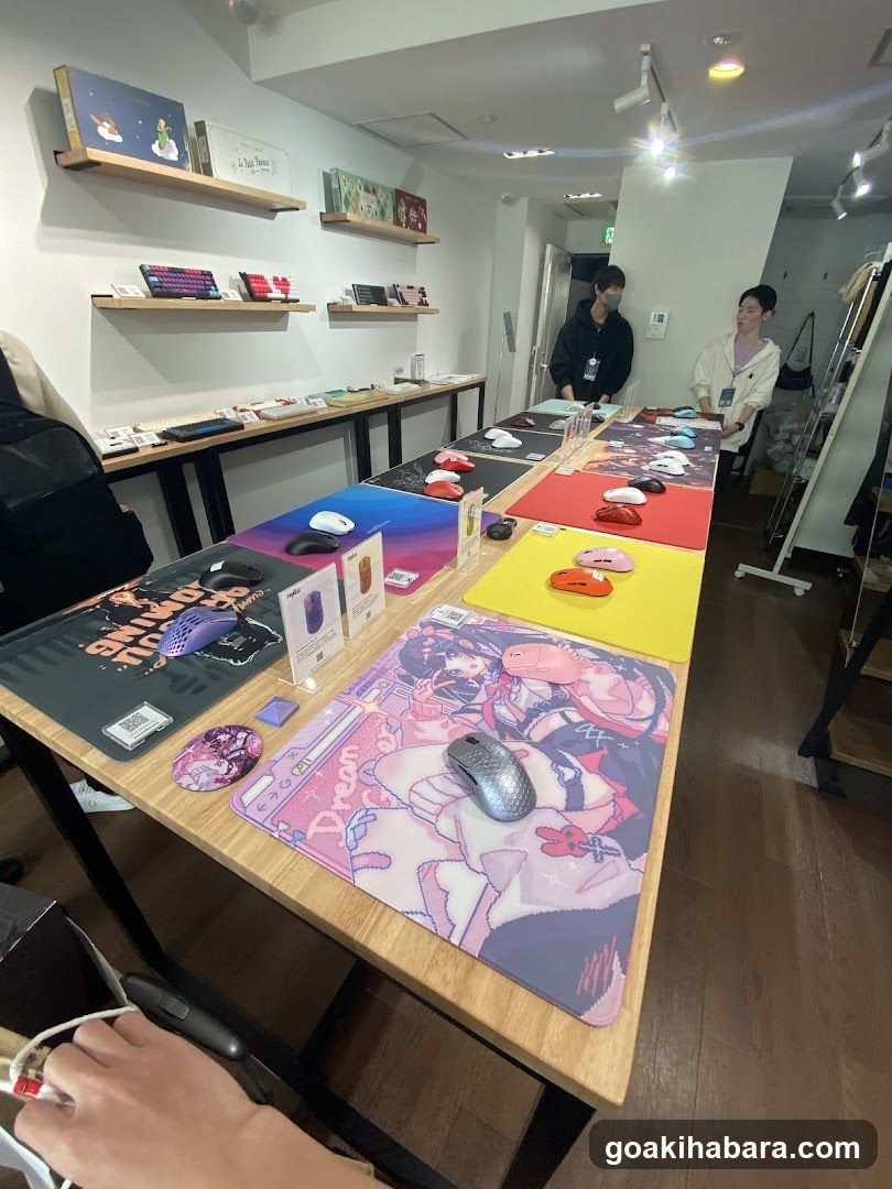 Fumo Showroom Akihabara