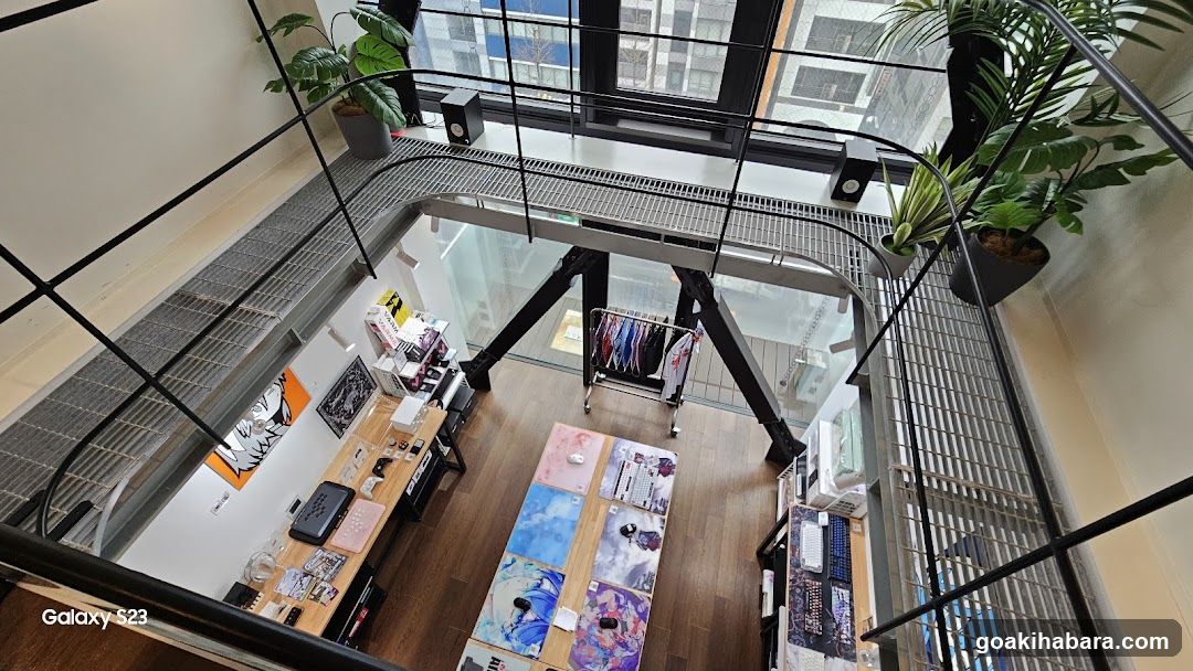 Fumo Showroom Akihabara