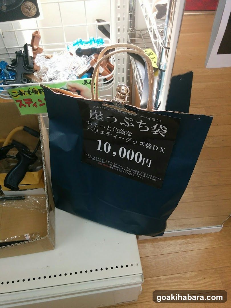 Akiba Garage