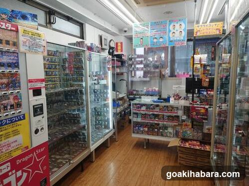 Dragon Star Akihabara store