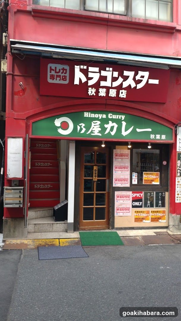 Dragon Star Akihabara store