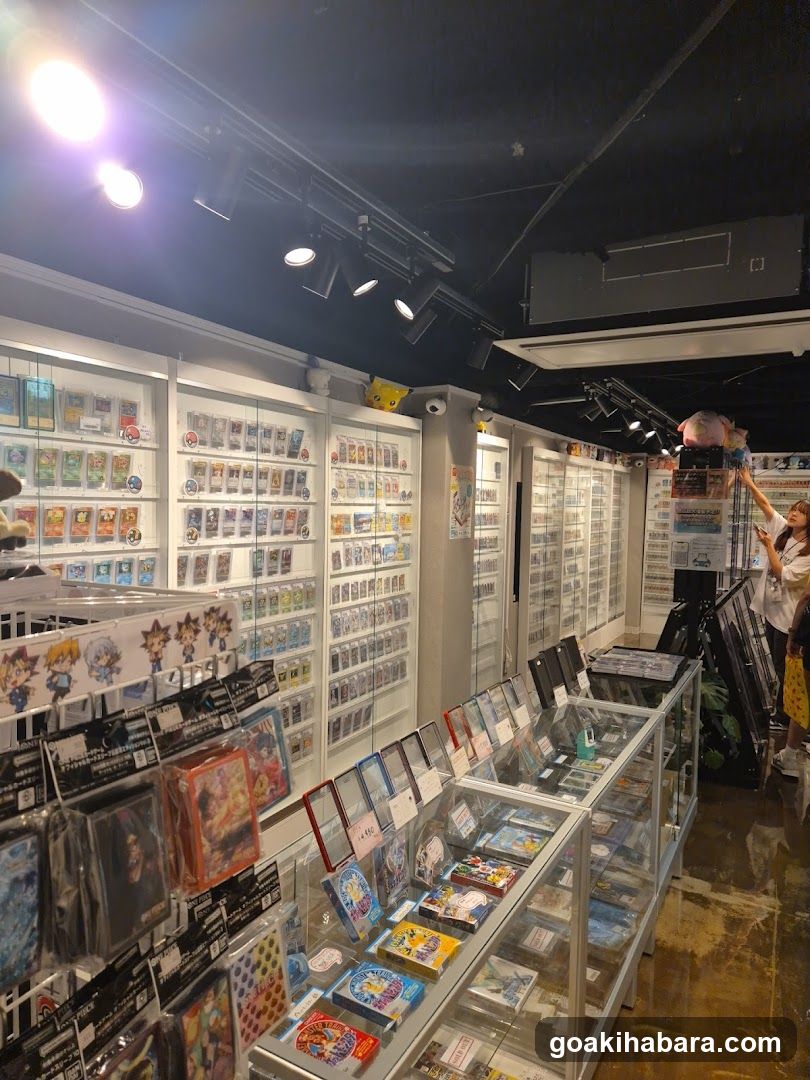 Dragon Star Akihabara store