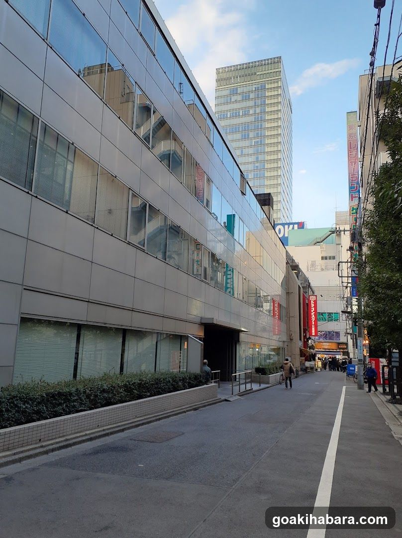 Dragon Star Akihabara store