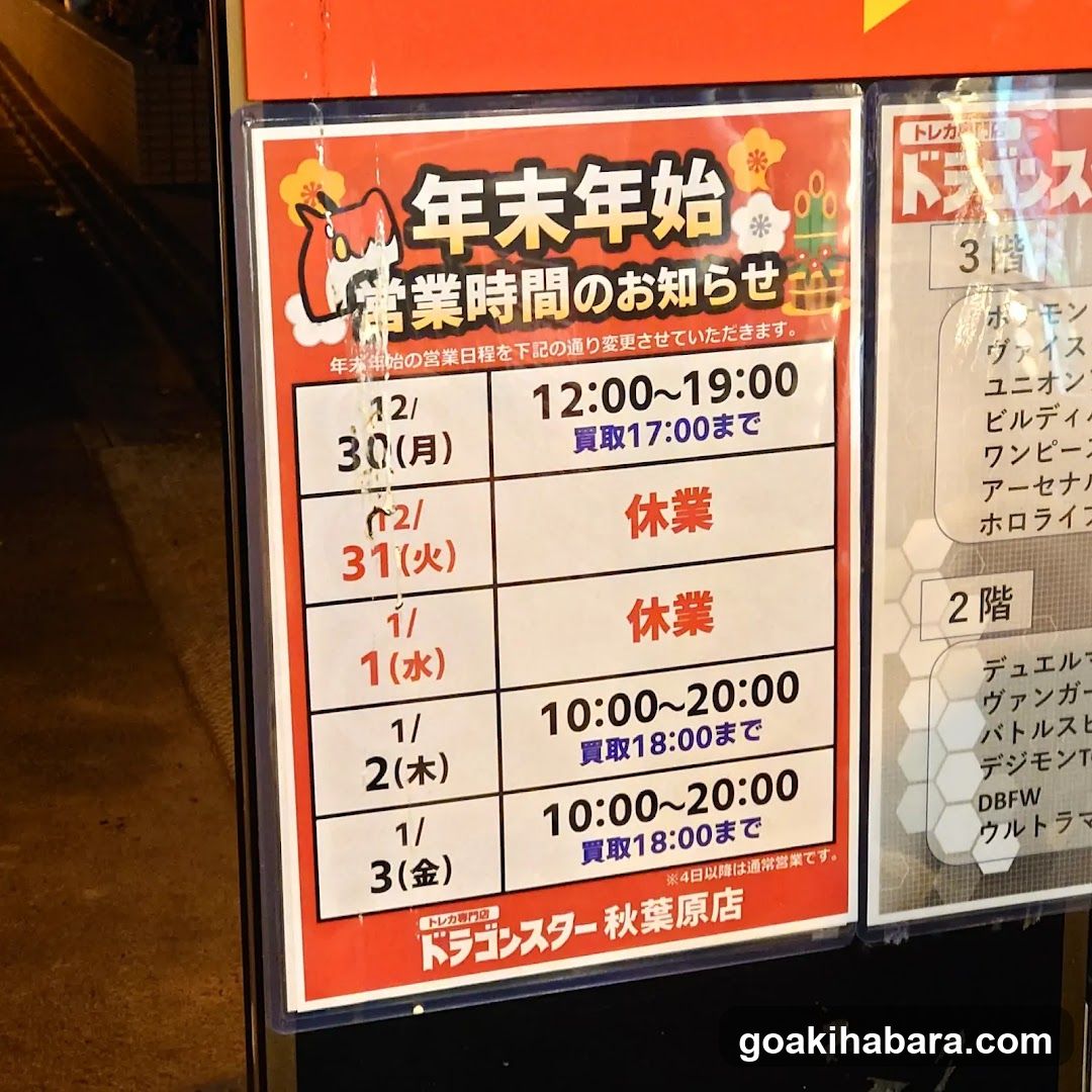 Dragon Star Akihabara store