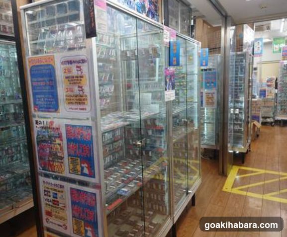 Dragon Star Akihabara store