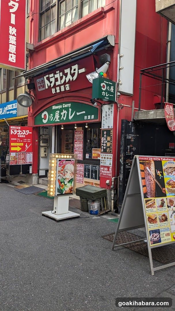Dragon Star Akihabara store