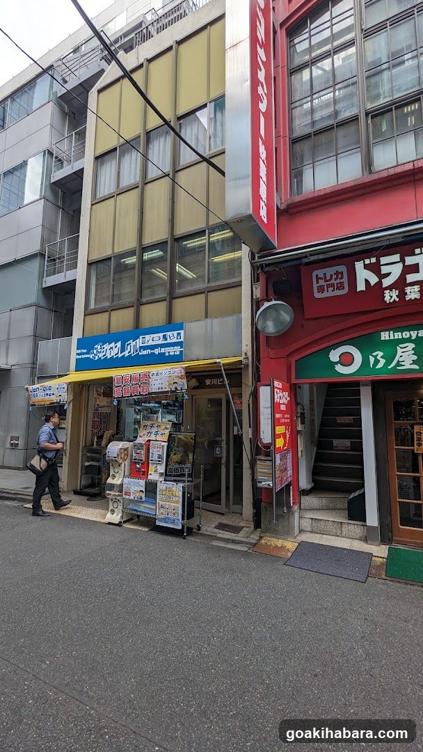Dragon Star Akihabara store