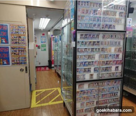 Dragon Star Akihabara store