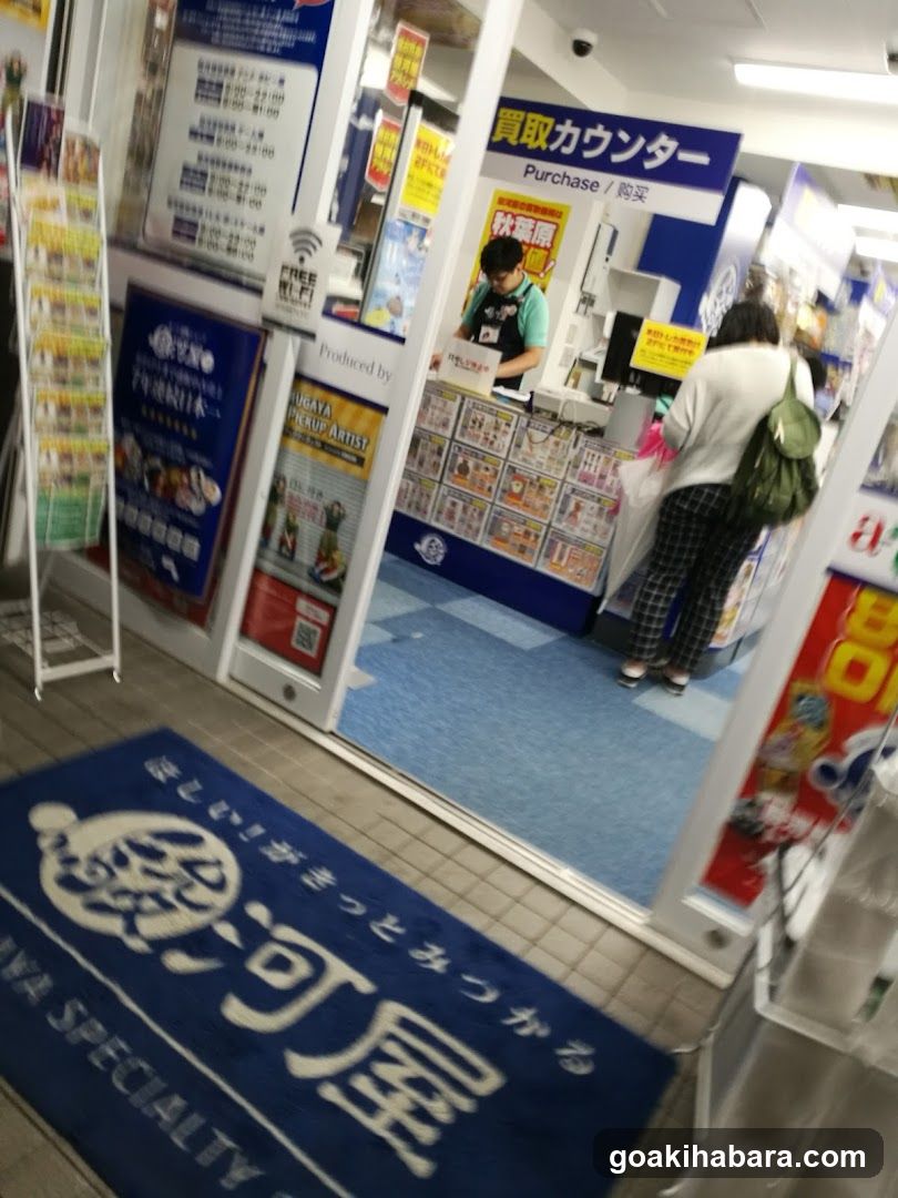 Surugaya Akihabaratoreka Bodogemukan