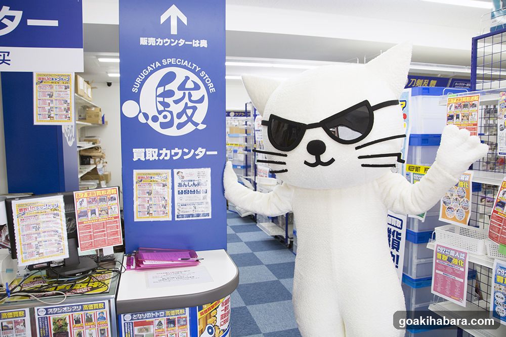 Surugaya Akihabaratoreka Bodogemukan
