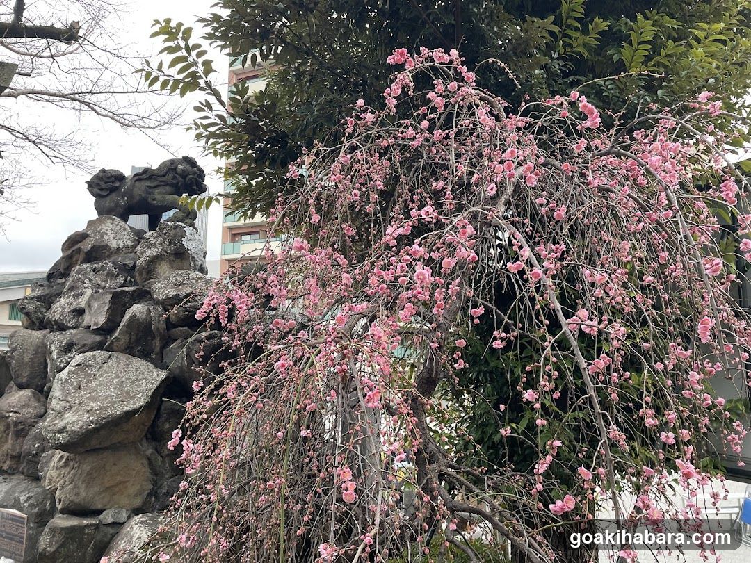 石獅子