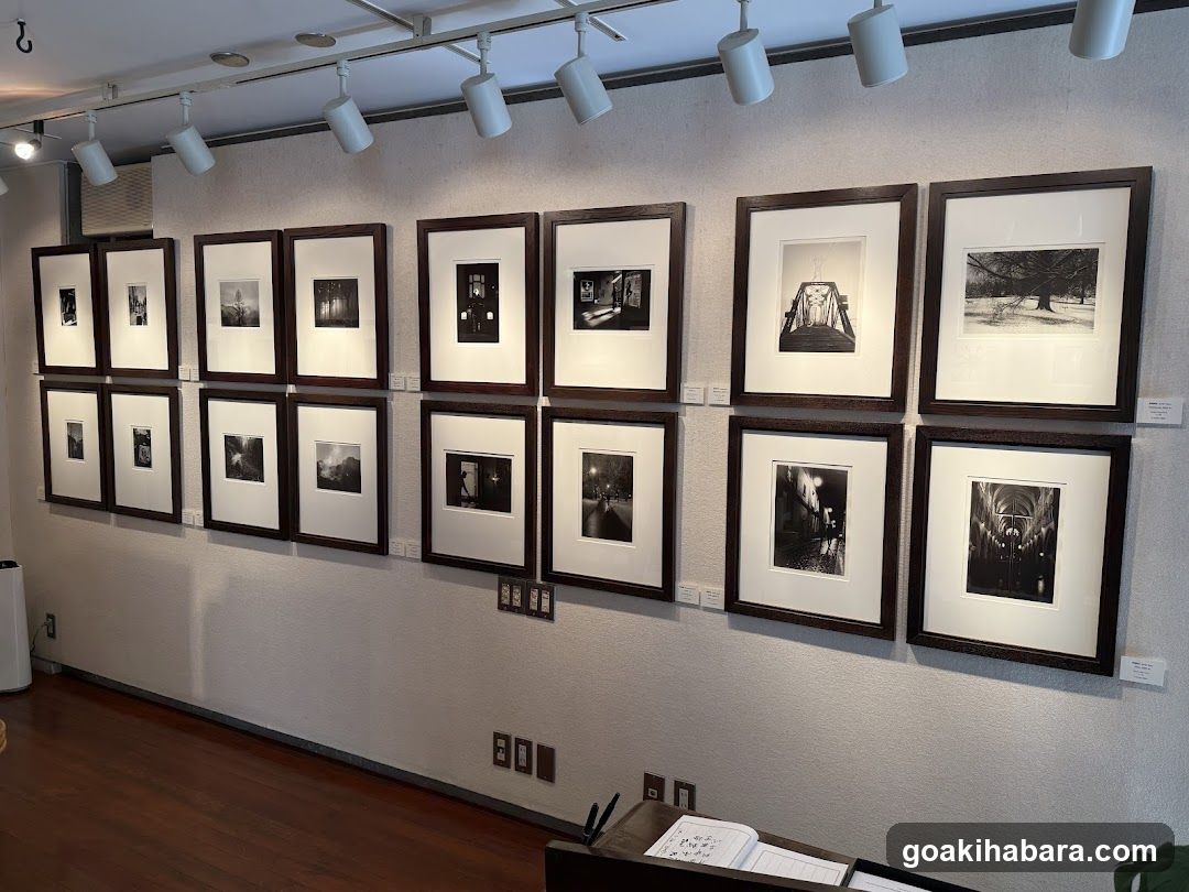 gallery bauhaus