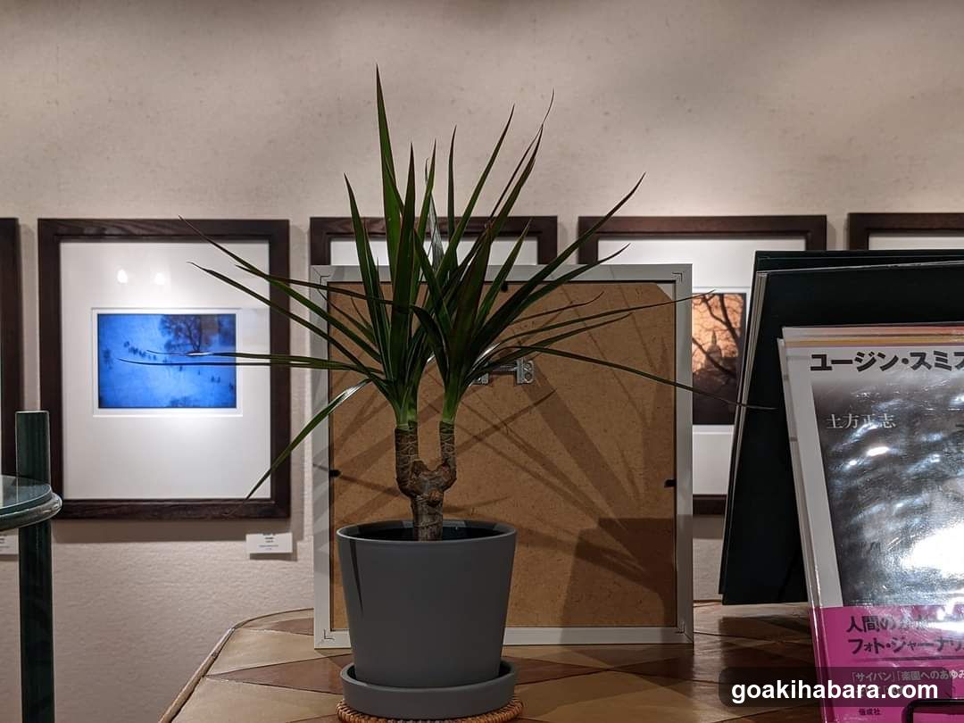 gallery bauhaus