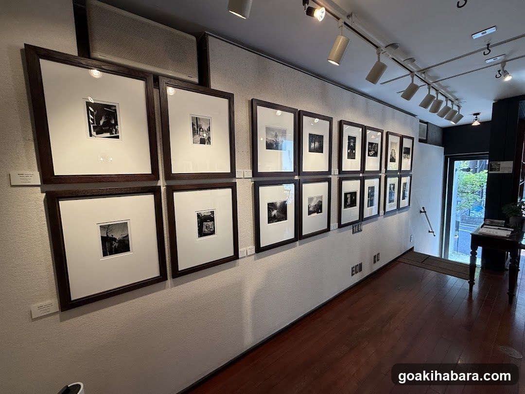 gallery bauhaus