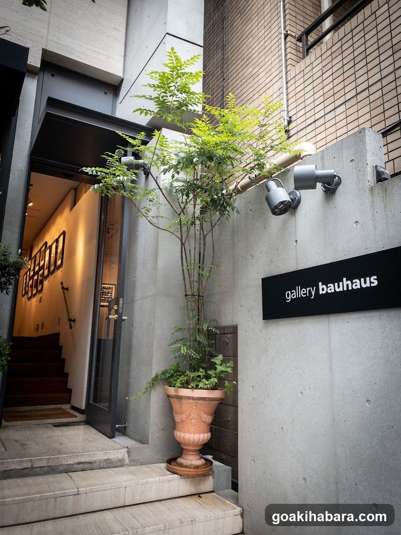gallery bauhaus