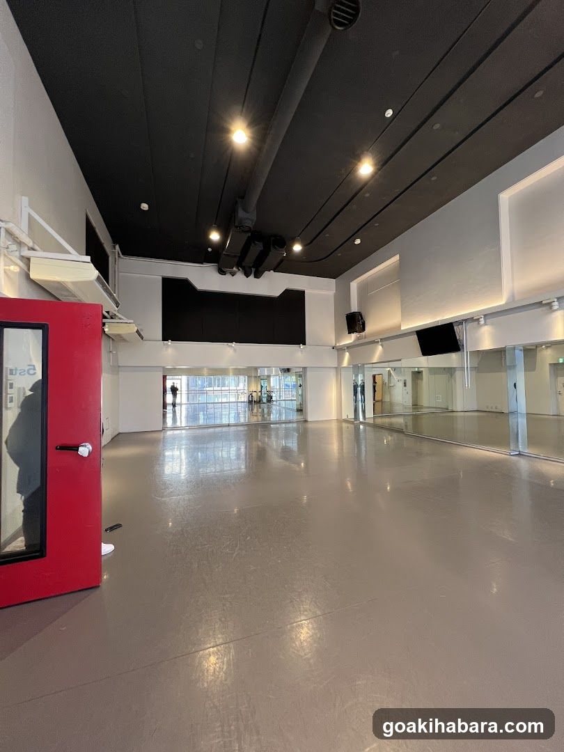 NOA Dance Academy Akihabara