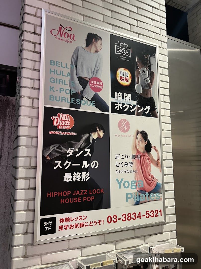 NOA Dance Academy Akihabara