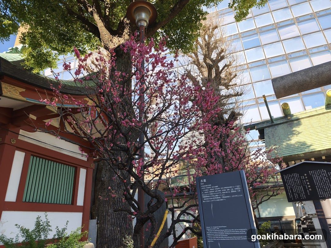 Kanda Myojin Otoko-zaka