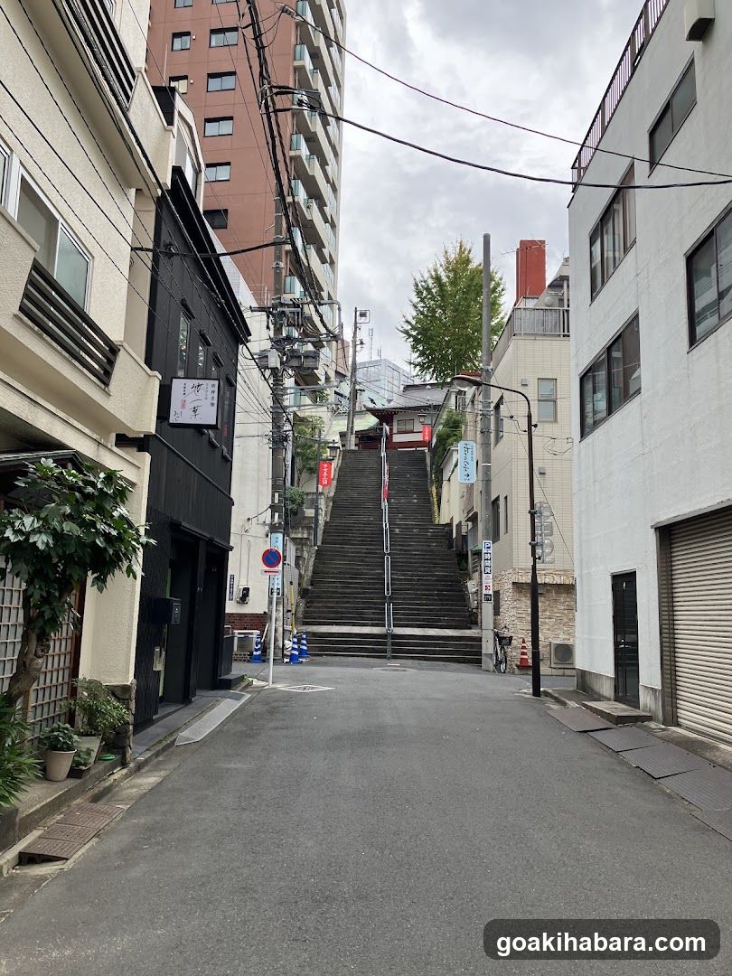 Kanda Myojin Otoko-zaka
