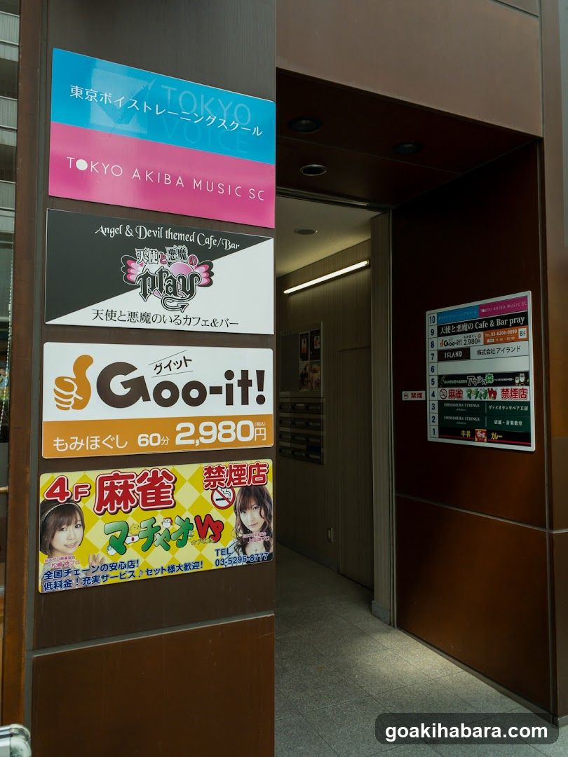 TOKYO AKIBA MUSIC SC