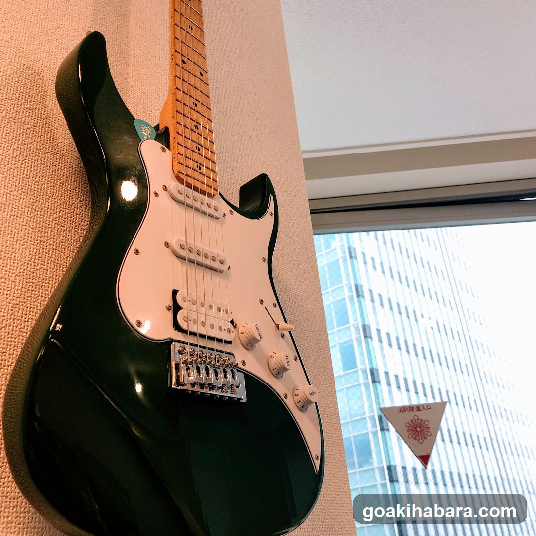 TOKYO AKIBA MUSIC SC