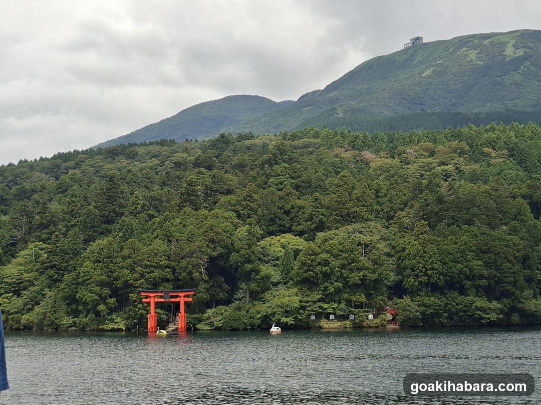 Amigo Tours Tokyo