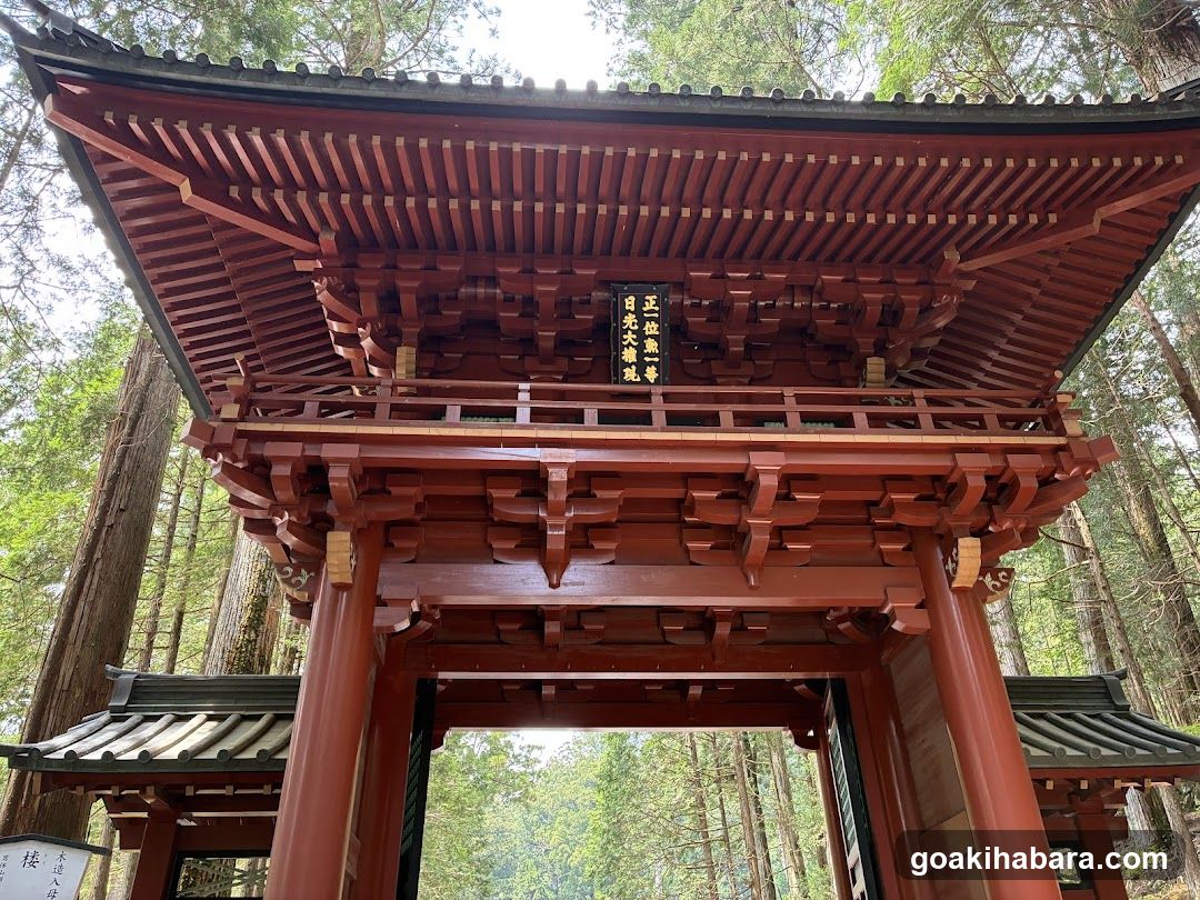 Amigo Tours Tokyo