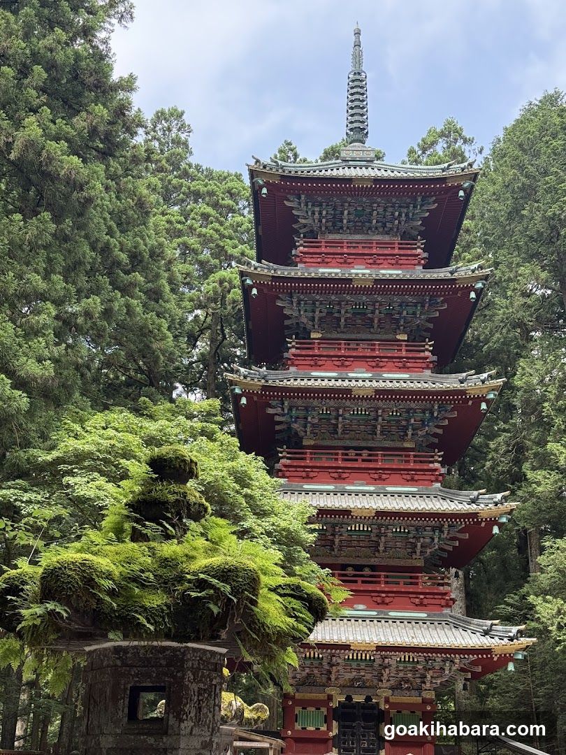 Amigo Tours Tokyo