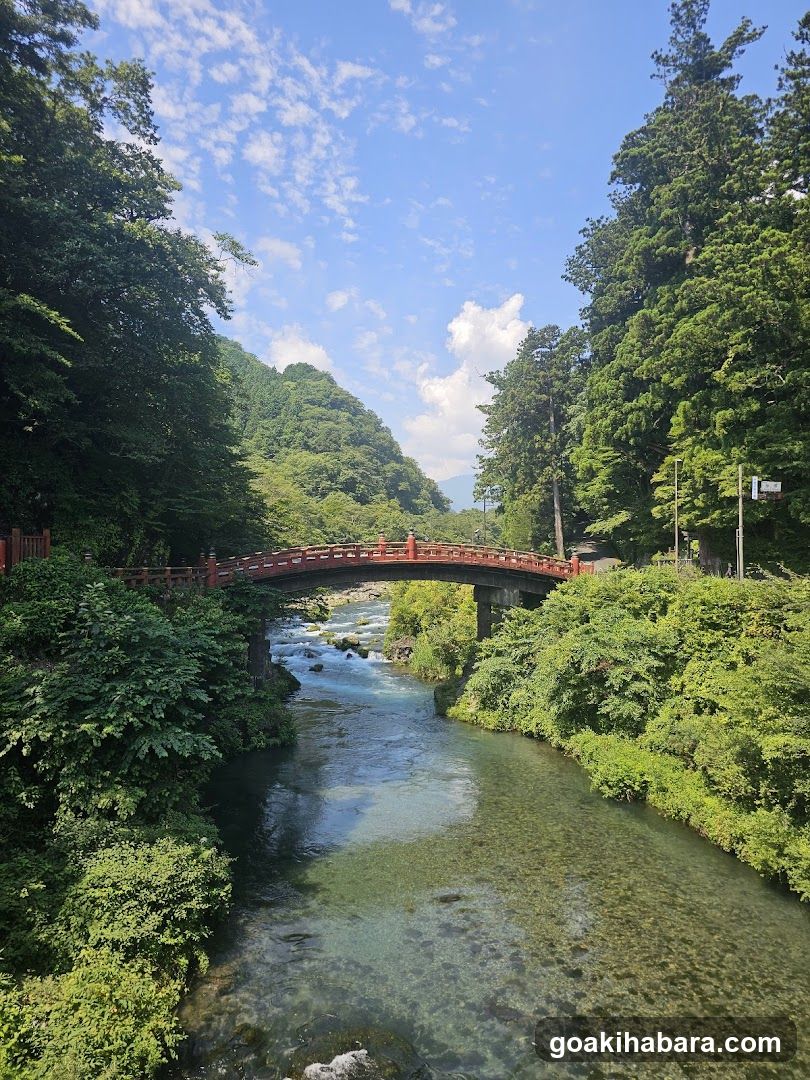 Amigo Tours Tokyo
