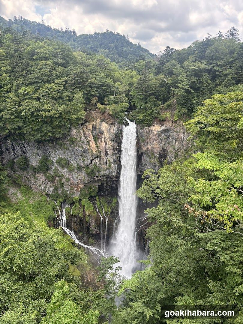 Amigo Tours Tokyo